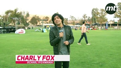 El Color de Charly Fox en una cáscara con los famosos