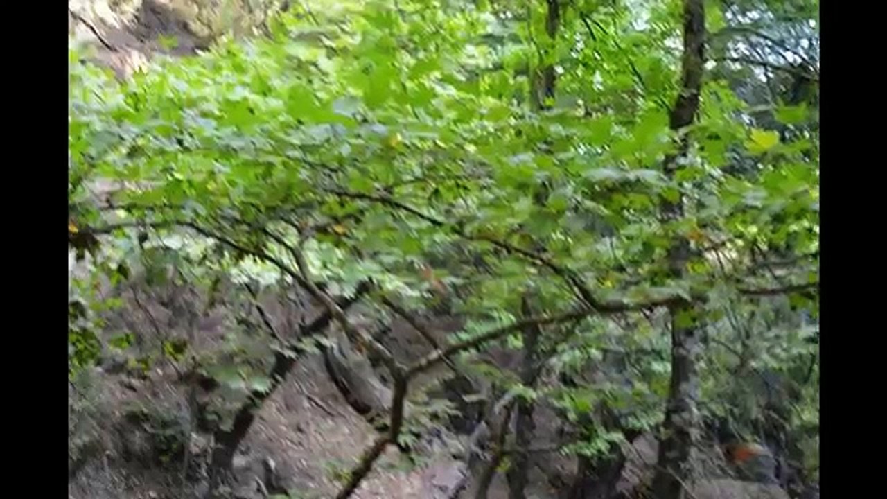 Rhodes Butterfly Valley   Родос Долина Бабочек