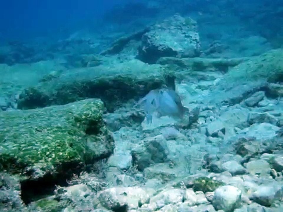 Rhodes Diving   Дайвинг на Родосе (2015)