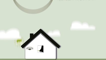 Вудвардия бахромчатая (папортник). Инструкция по посадке. СадСвоимиРуками