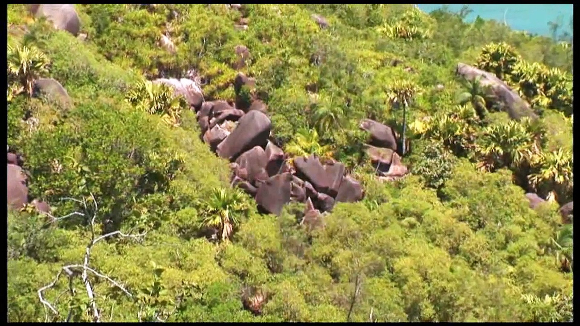 ⁣Around The World - Seychelles (Вокруг Света -Сейшельские острова)