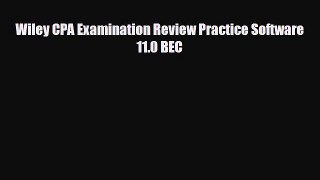 PDF Wiley CPA Examination Review Practice Software 11.0 BEC Ebook