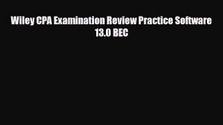 Download Wiley CPA Examination Review Practice Software 13.0 BEC Read Online