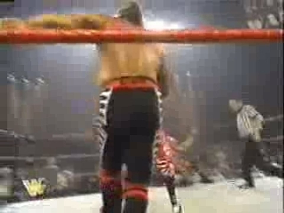 Legion of Doom vs HBK & Austin