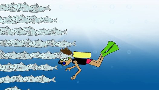 The Underwater Song (childrens sea animal song) - Dailymotion Video