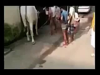 Zor Ka Jhatka Dhire Se Lage _ Whatsapp Funny Accident Video