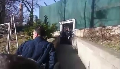 Fahrudin Radončić ispred Suda BiH