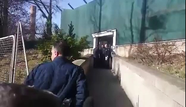 Fahrudin Radončić ispred Suda BiH