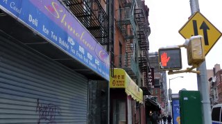 GROSSO GATTO A CHINATOWN (E LOWER EAST SIDE) VLOG