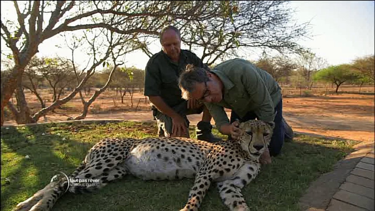EXCLU -Grosse frayeur pour Philippe Gougler, ce vendredi dans "Faut pas rêver"