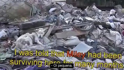 miley final pt