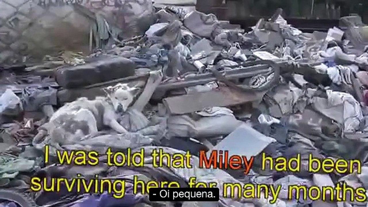 miley final pt