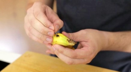 Ele fura a banana com uma agulha... e depois... UAU! Que resultado fantástico!