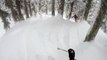 Des skieurs hors-piste surpris par un léopard des neiges