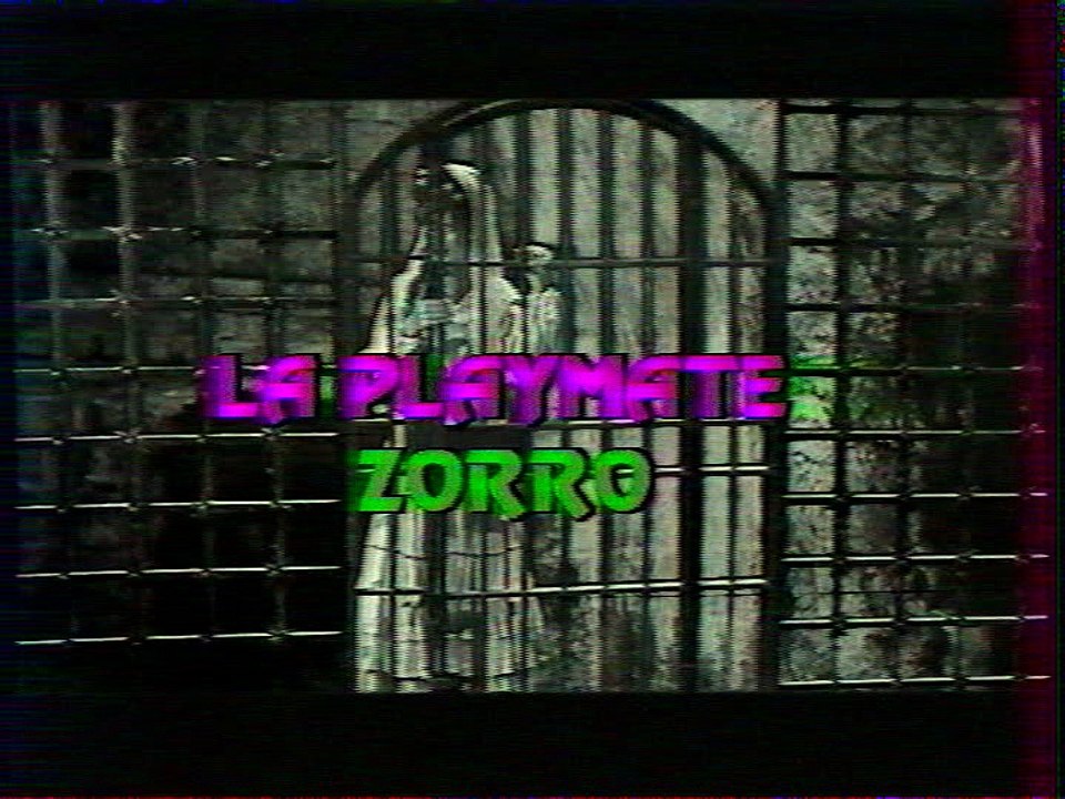 playmate zorro