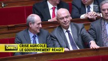 Les principales annonces de Manuel Valls pour résoudre la crise des agriculteurs