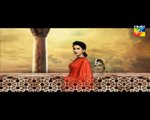 Mera Dard Na Jany Koi Episode 74 Hum TV Promo
