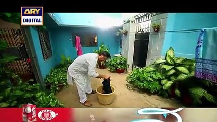 Bay Qasoor Episode 15 Full on Ary Digital 17th February 2016