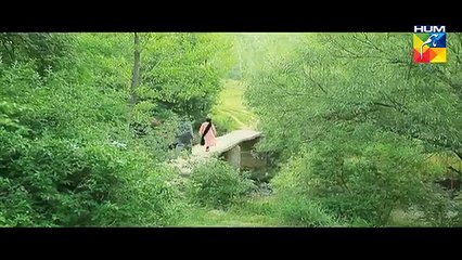 Mana Ka Gharana Episode 11 Full HUM TV Drama 17 Feb 2016