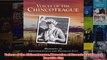 Download PDF  Voices of the Chincoteague Memories of Greenbackville and Franklin City FULL FREE