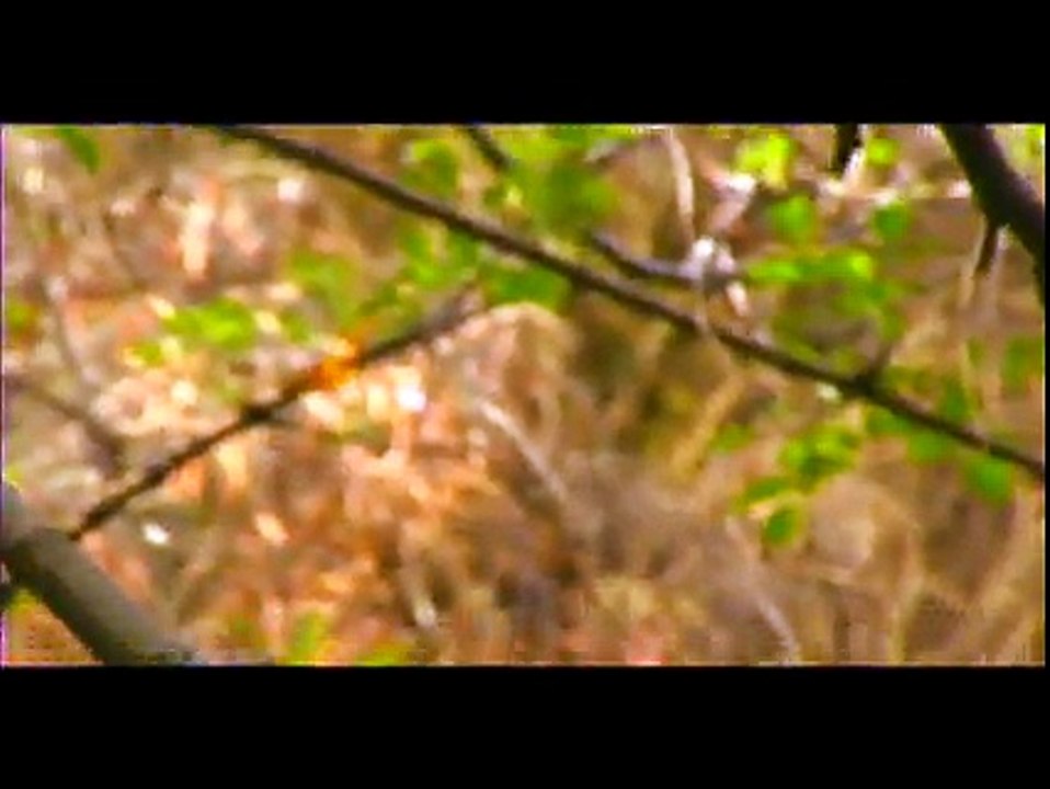 The Devil makes Three__All Hail