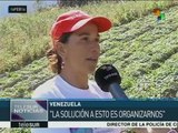 Venezuela: mujeres campesinas promueven la distribución de alimentos