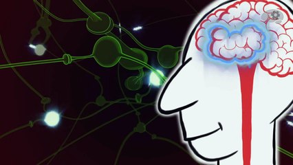 Как работают наши нервы: удивительный механизм передачи сигналов 🧠
