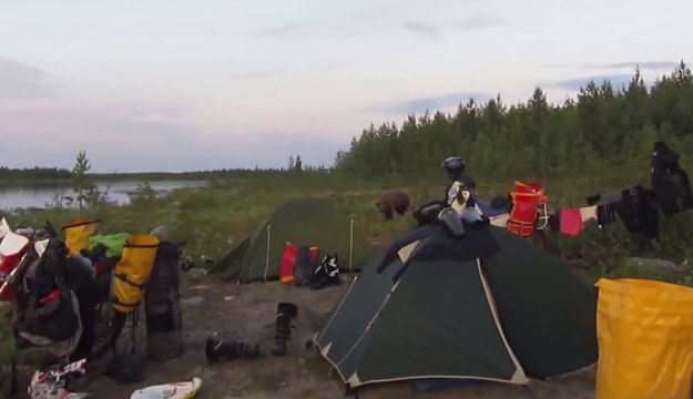 Un ours s'approche d'un campement de très très près...