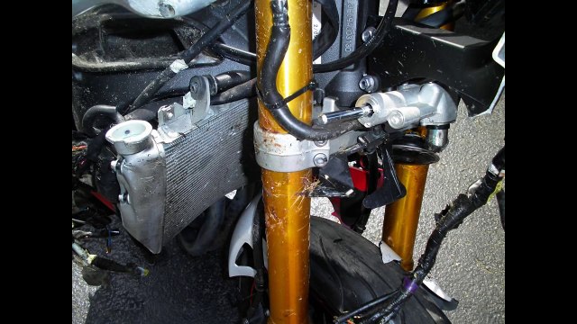 Motorcycle vs Deer Crash! Yamaha R1 Cuts Deer in Half Motorcycle Accident Aftermath