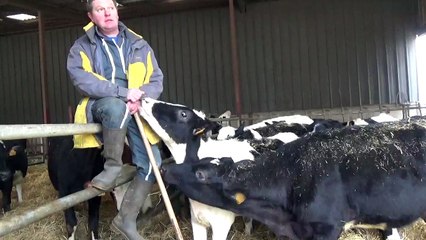 La colère monte chez les éleveurs aubois