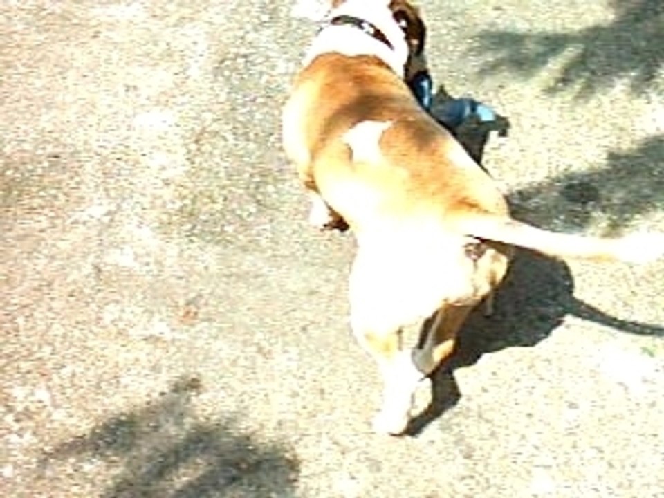 BUFFY LA CHIPIE 2