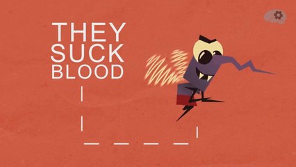 Опасный комар: как защититься от кровососущего врага 🦟