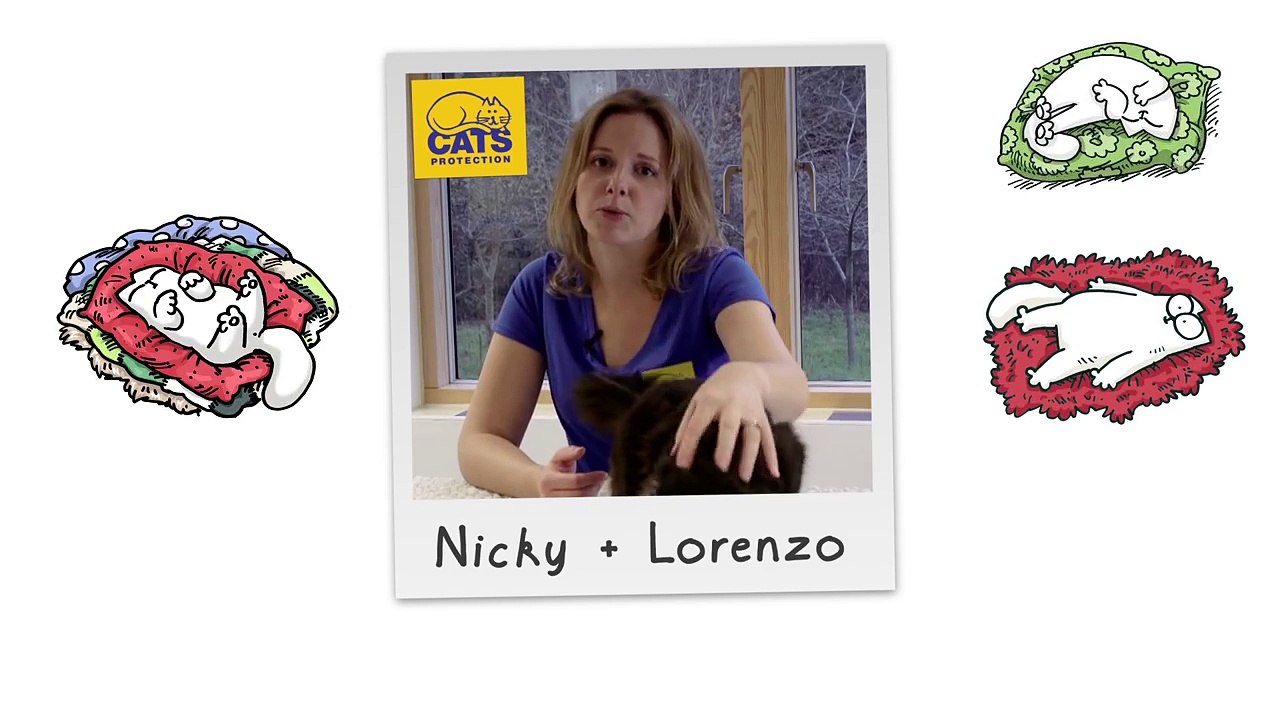 Simons Cat Logic - Crazy Time