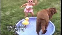 Dog Ruins Little Girls Rubber Duck Play Time