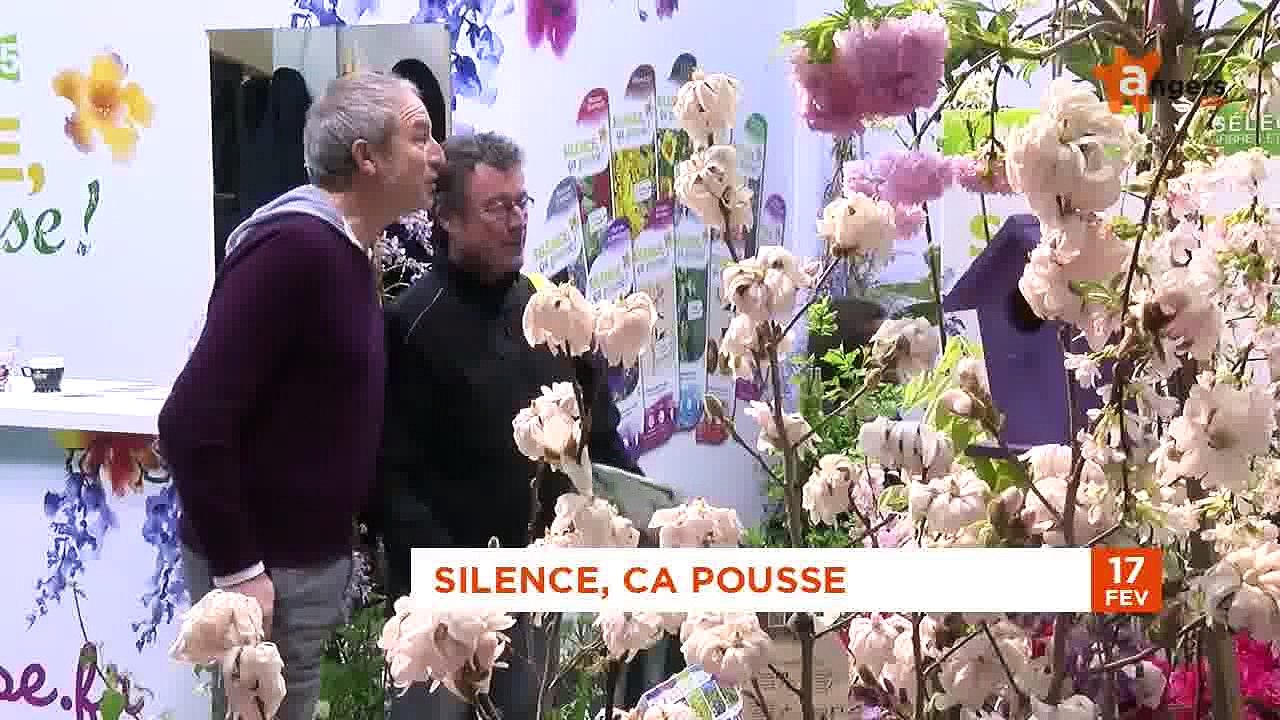 JT FEVRIER 2016 [S.2] [E.17] - Le Journal du mercredi 17 février 2016