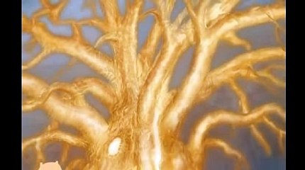 실시간카지노ぉ＼＼【KOP77。COM】＼＼ぬ달팽이게임바카라시스템베팅