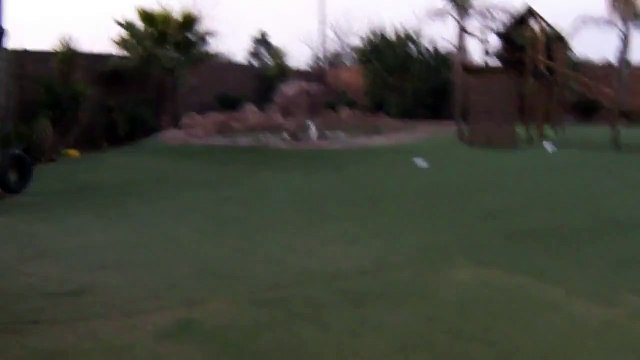 Хороший домашний питомец ЖЕСТЬ