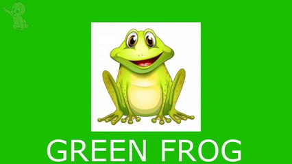 Learn Make Up Color Theory Using The Color Wheel With Robert Jones