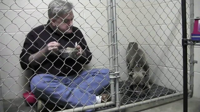 Un vétérinaire mange dans une cage avec un chien craintif
