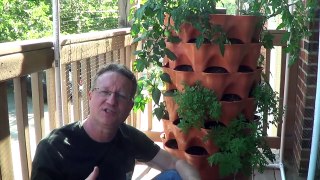 Organic Fertilizer - Container Gardening