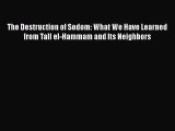 PDF The Destruction of Sodom: What We Have Learned from Tall el-Hammam and Its Neighbors  Read