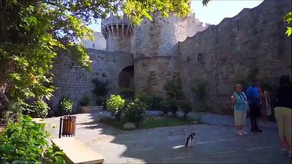 Rhodes Island - Rhodes Old Town And Rhodes City