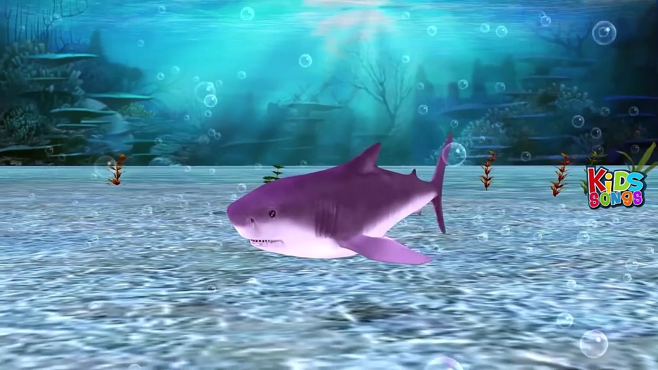 Shark Finger Family Children Nursery Rhymes | Cartoon Shark Finger Family Song For Kids