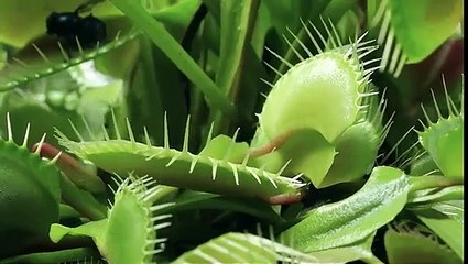 Relaxing views of nature