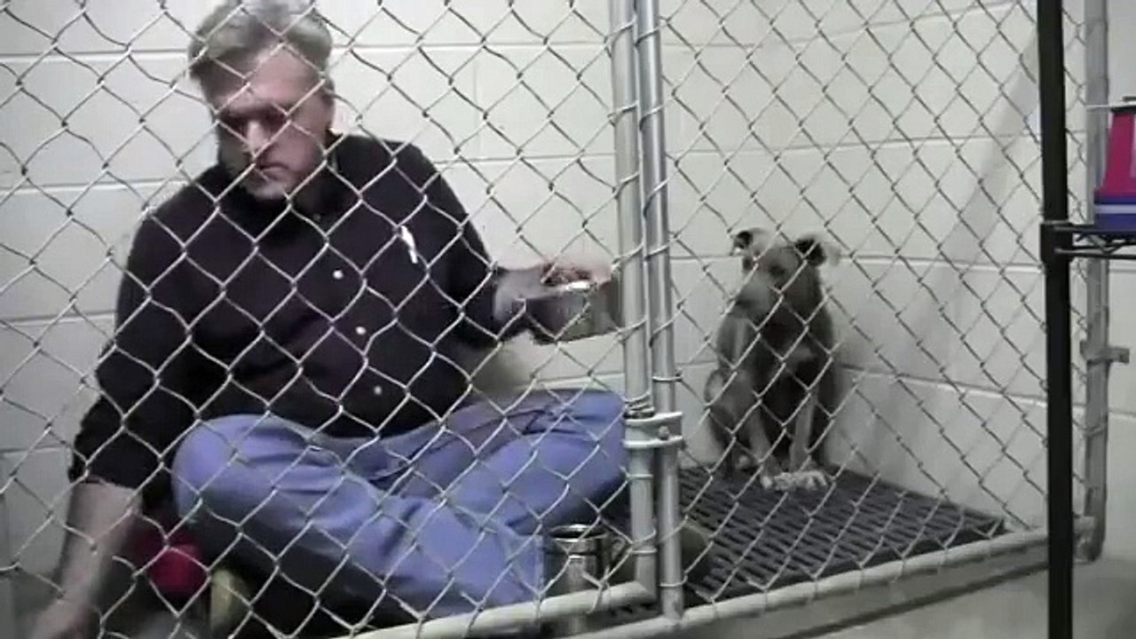 Vet sits in cage with scared Dog and eats breakfast to comfort her during mealtime! So compassionate!