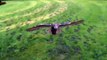 Owl (flight in slow motion)