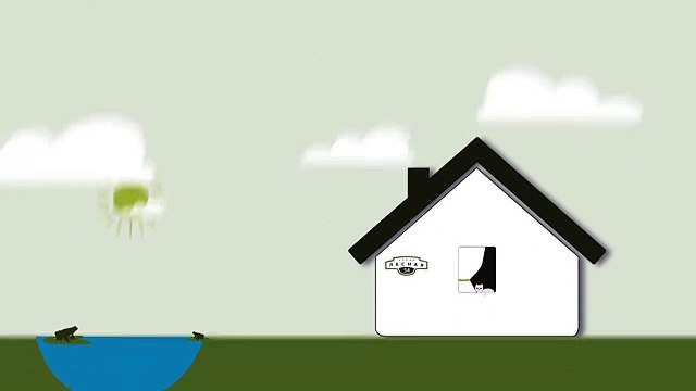 Ива Пурпурная. Инструкция по посадке. СадСвоимиРуками