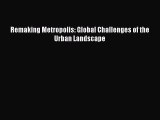 Read Remaking Metropolis: Global Challenges of the Urban Landscape PDF Free