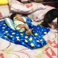 dog taking care of baby