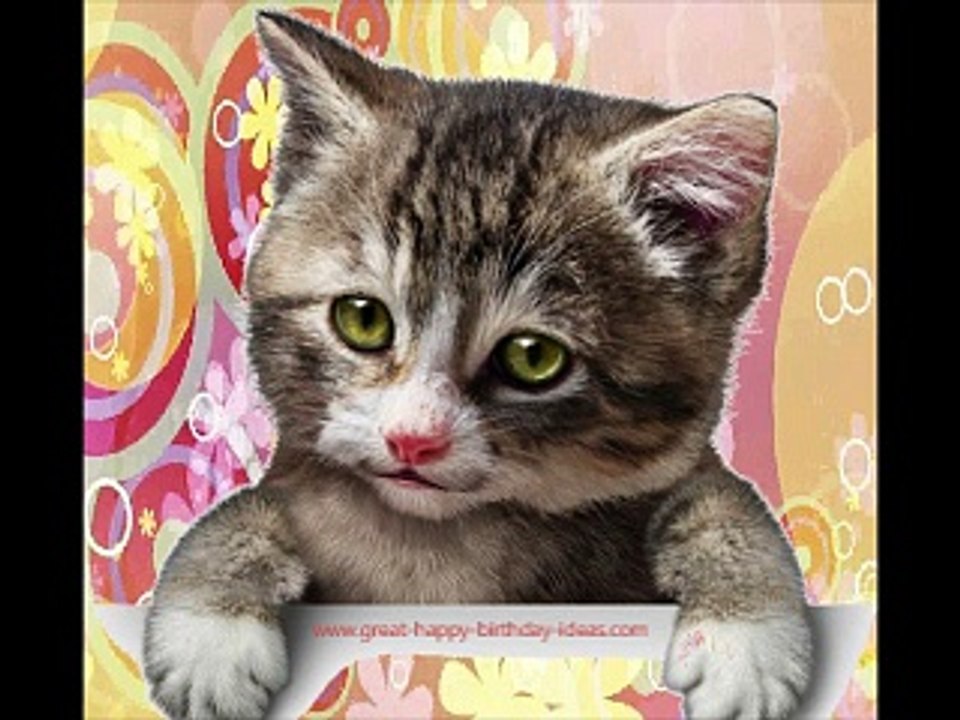 The Kitten Birthday Rap!
